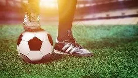 博纳影业（001330）11月25日主力资金净增492.19万元流入