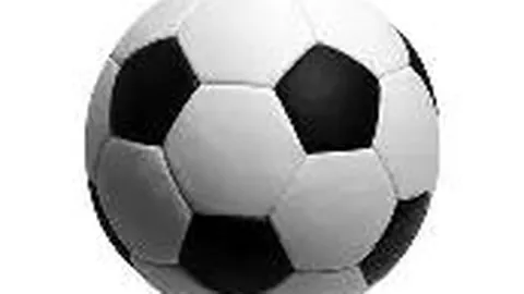 “商洛举办2025年U15世界中学生排球锦标赛新闻发布会”