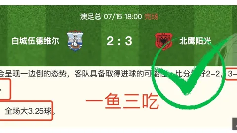 体育全站体育，开云体育全站，平台 115328 0